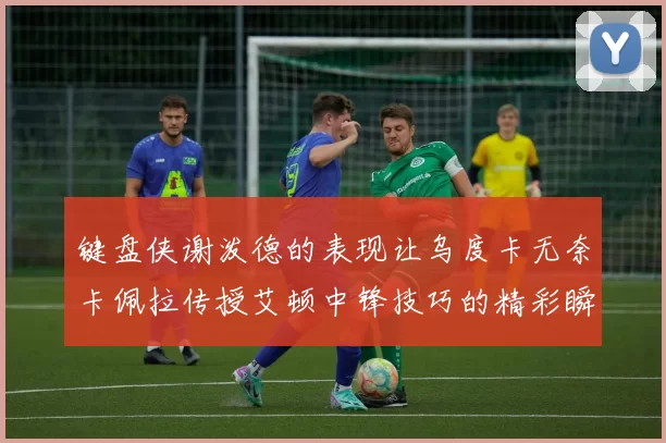 键盘侠谢泼德的表现让乌度卡无奈卡佩拉传授艾顿中锋技巧的精彩瞬间