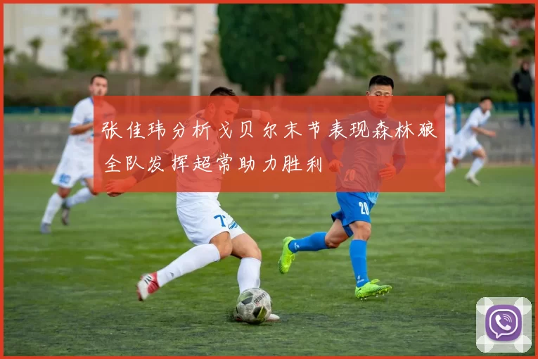 张佳玮分析戈贝尔末节表现森林狼全队发挥超常助力胜利